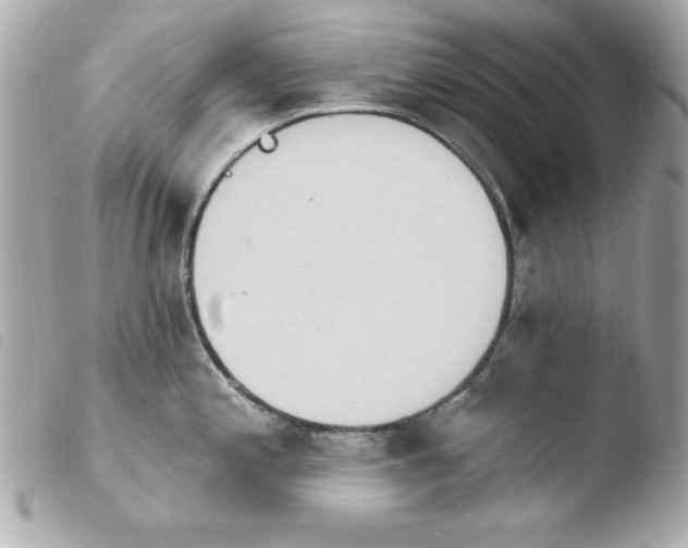 X0000103931197200810031252