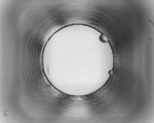 X0000103931199200810031252
