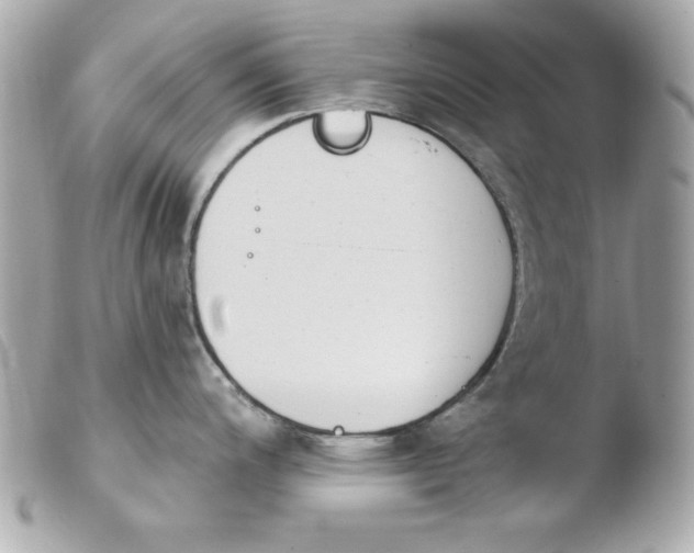 X0000103931200200810031251