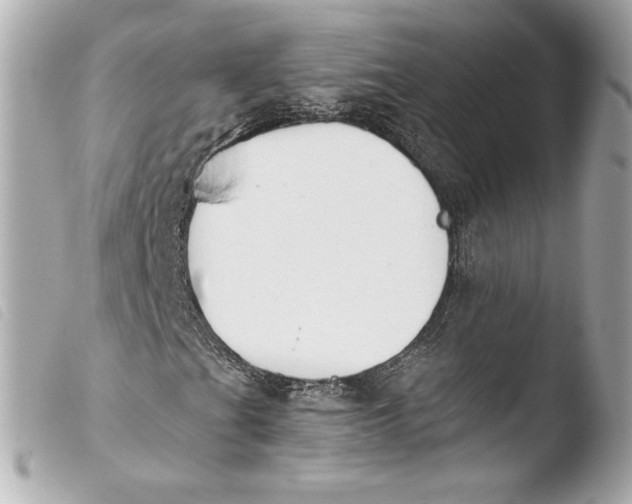 X0000103931201200810031251