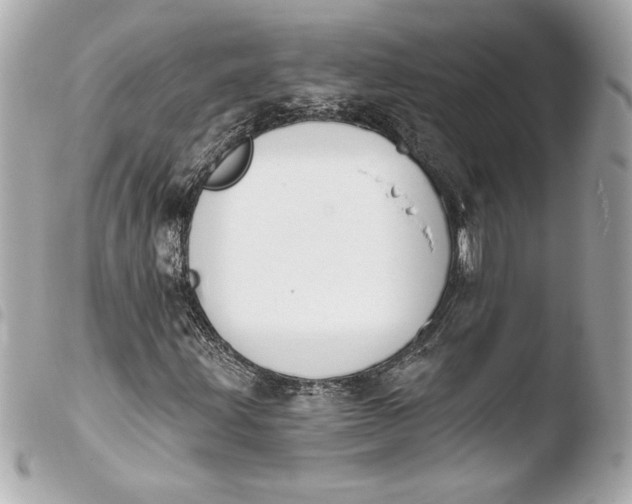 X0000103931203200810031251