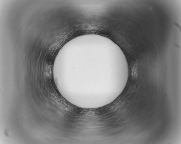 X0000103931204200810031251
