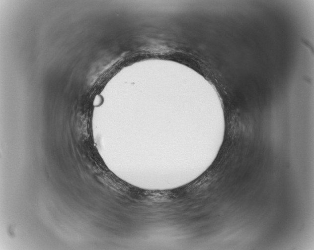 X0000103931205200810031251