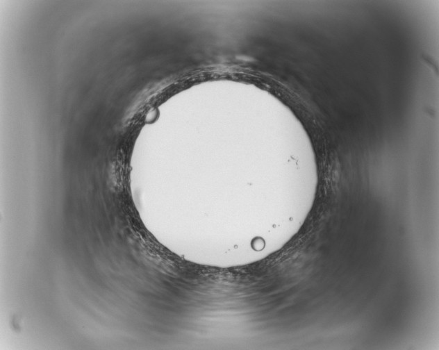 X0000103931207200810031251