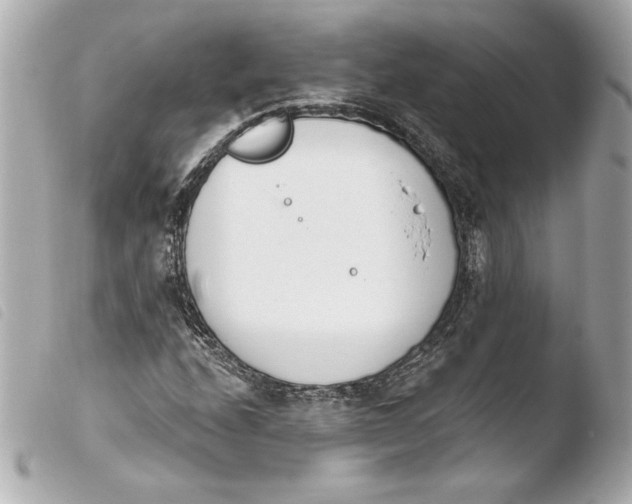X0000103931208200810031251