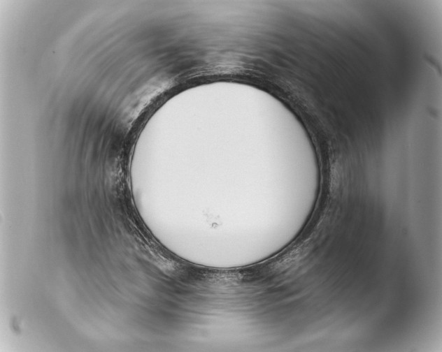 X0000103931210200810031251