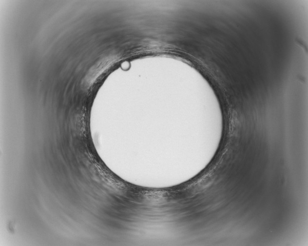 X0000103931211200810031251