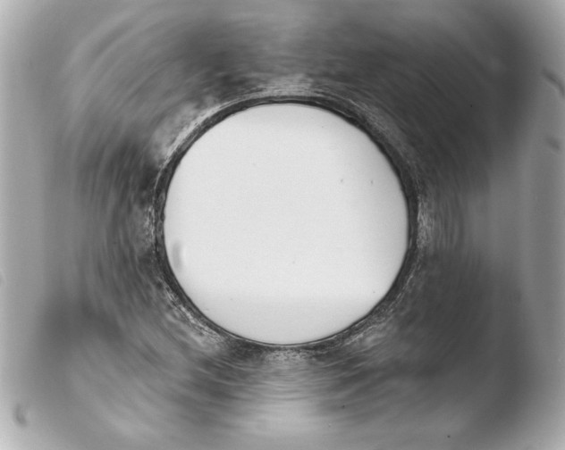 X0000103931212200810031251