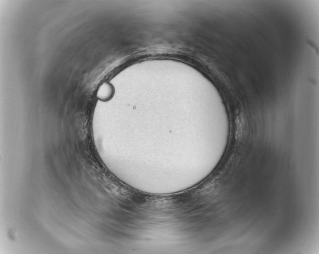 X0000103931213200810031251