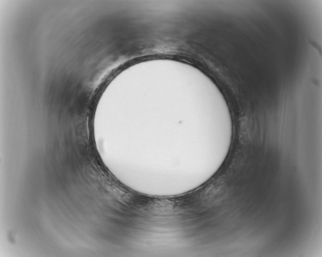 X0000103931214200810031251