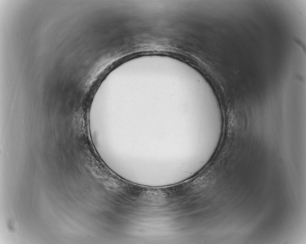 X0000103931215200810031251