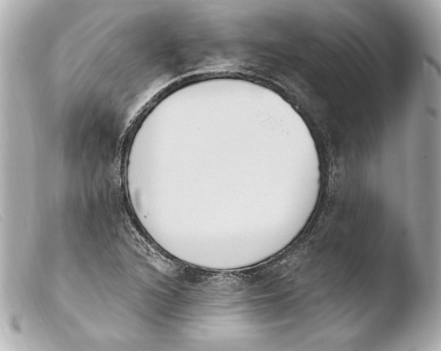 X0000103931216200810031251