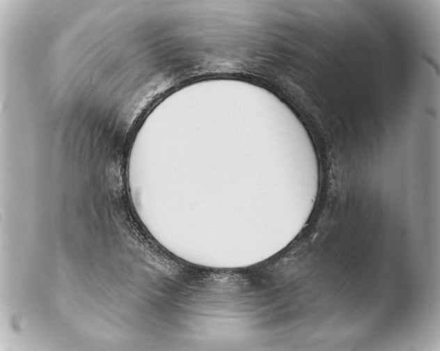 X0000103931218200810031251