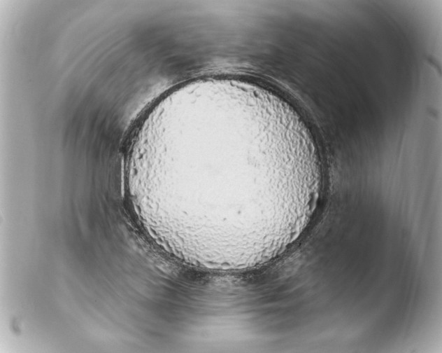 X0000103931219200810031251