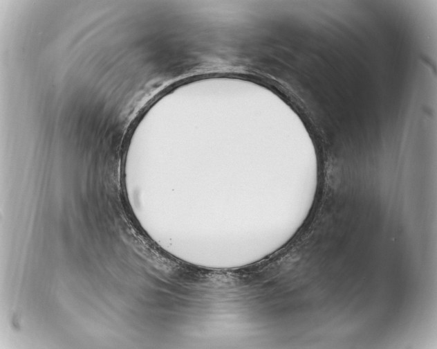 X0000103931220200810031251