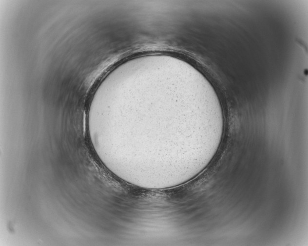 X0000103931221200810031251