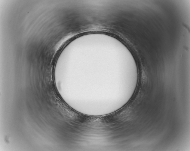 X0000103931222200810031251