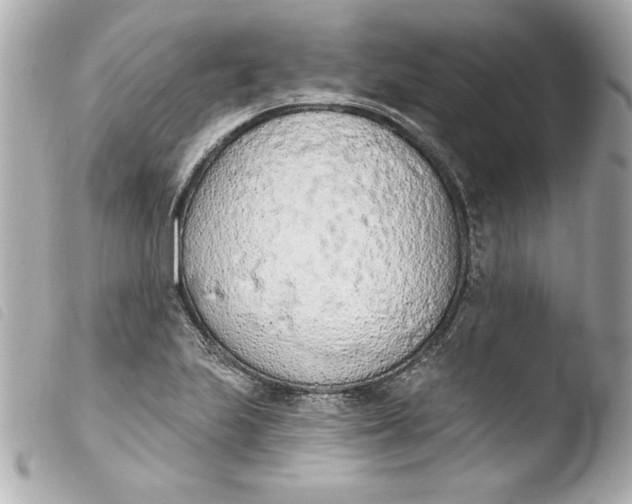 X0000103931223200810031251