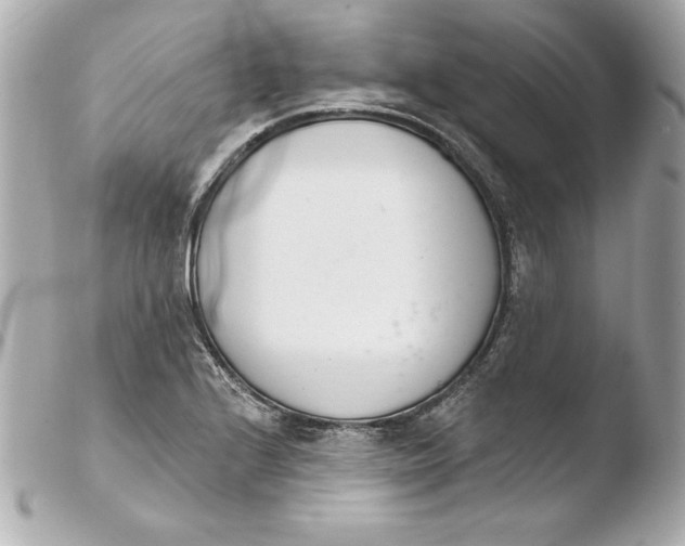 X0000103931224200810031251
