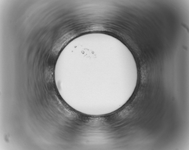X0000103931225200810031251