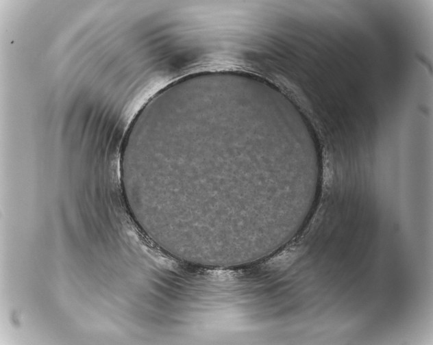 X0000103931226200810031251