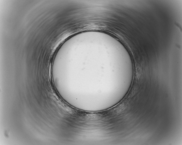 X0000103931227200810031251
