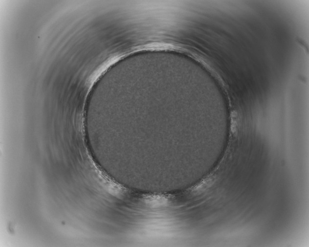 X0000103931229200810031251