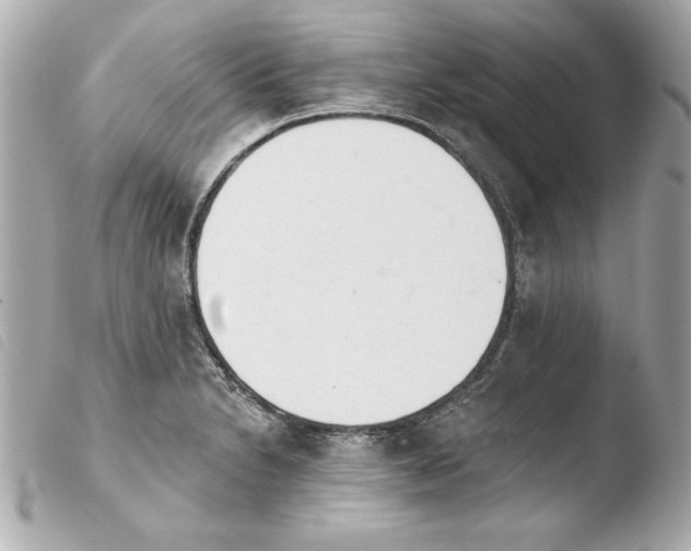 X0000103931230200810031251
