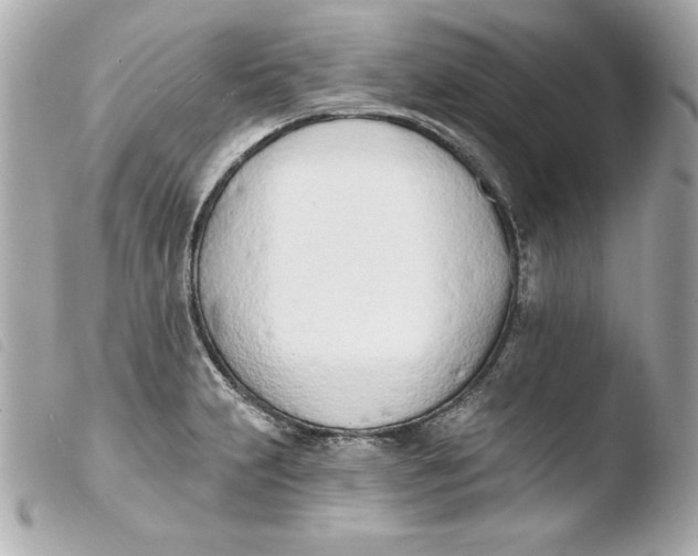 X0000103931231200810031251