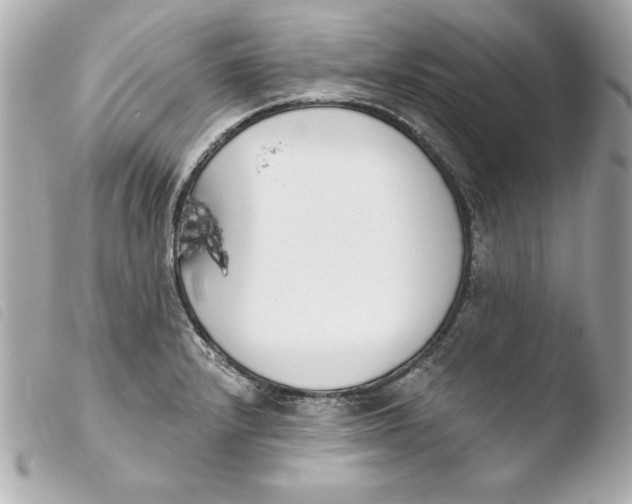 X0000103931232200810031251