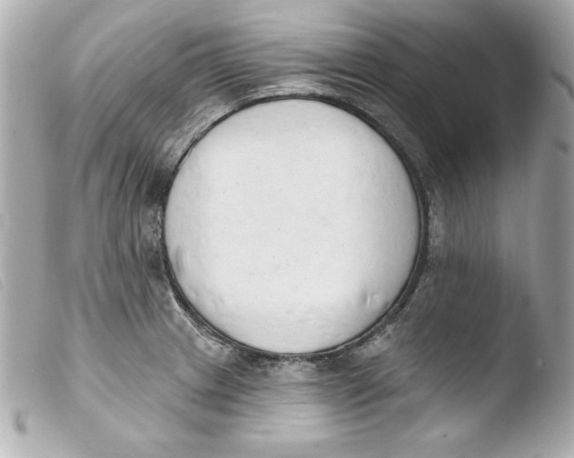 X0000103931233200810031251