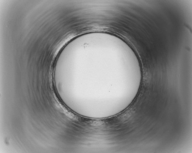 X0000103931235200810031251