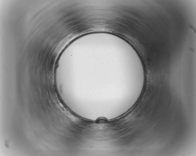 X0000103931236200810031251