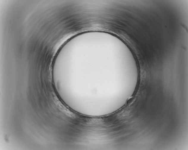 X0000103931238200810031251