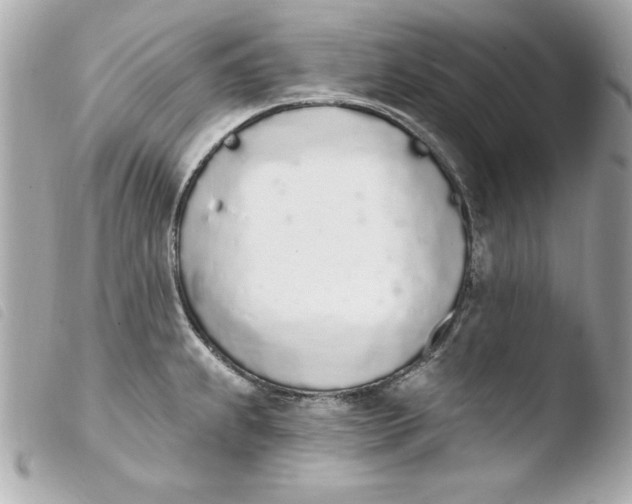X0000103931239200810031251