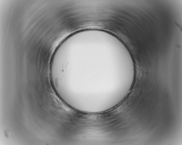 X0000103931240200810031251