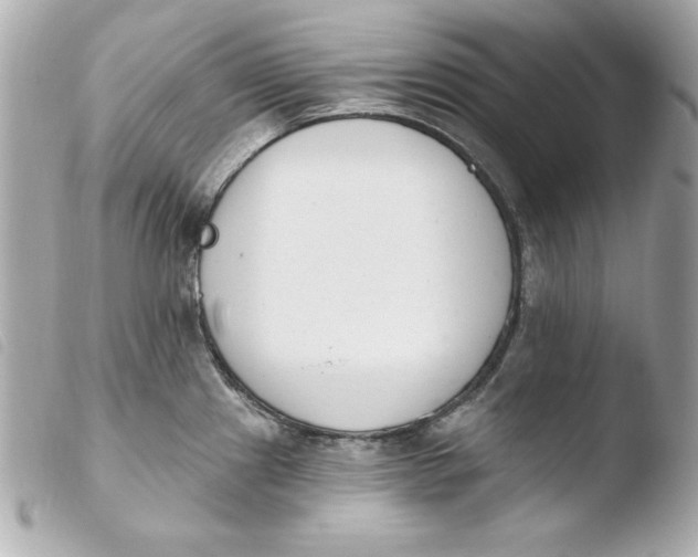 X0000103931241200810031251