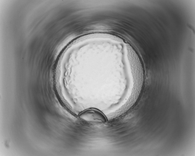 X0000103931243200810031251
