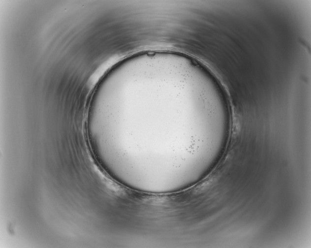 X0000103931245200810031251