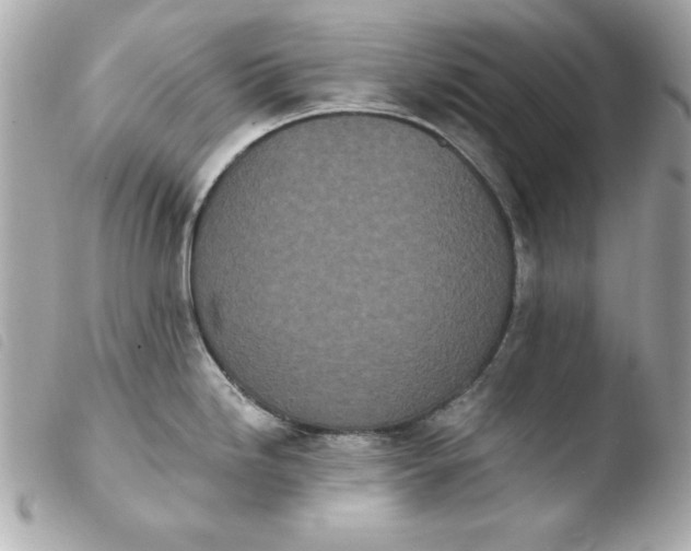 X0000103931246200810031251