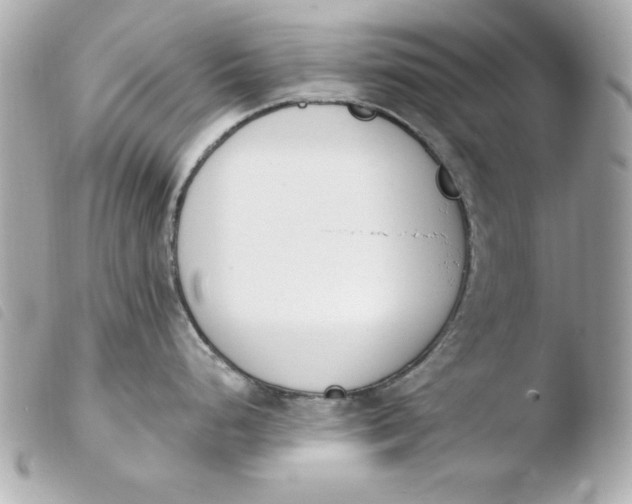 X0000103931248200810031251