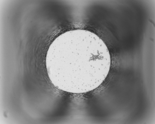 X0000103931249200810031251