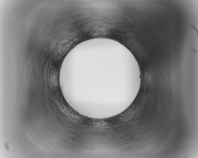 X0000103931250200810031251
