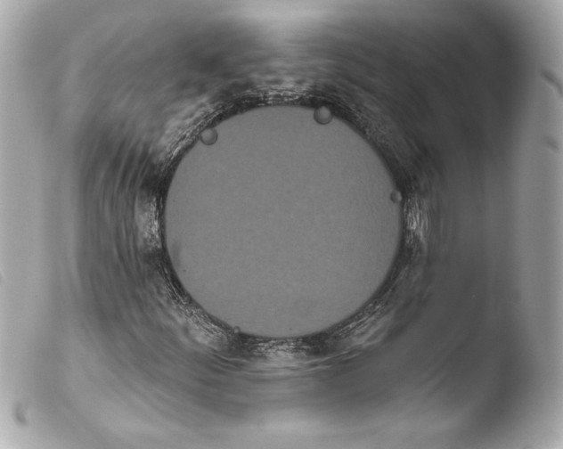 X0000103931252200810031251