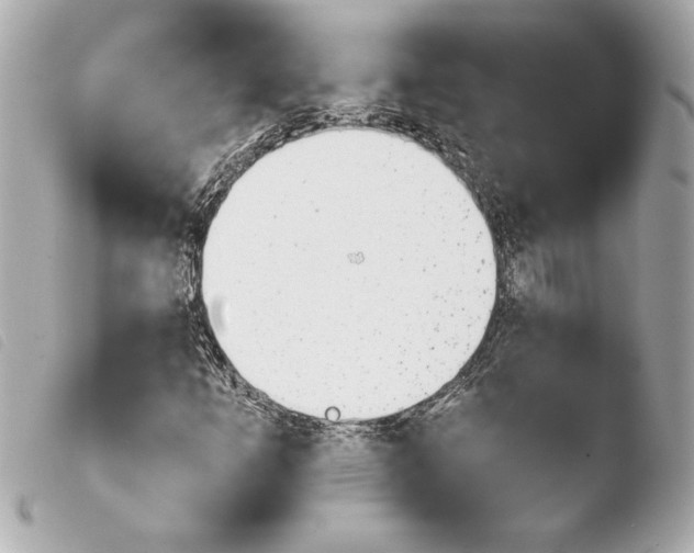 X0000103931253200810031250