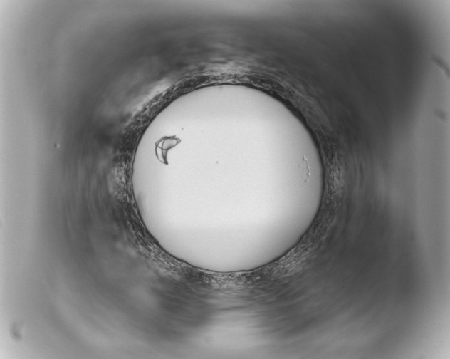 X0000103931254200810031250