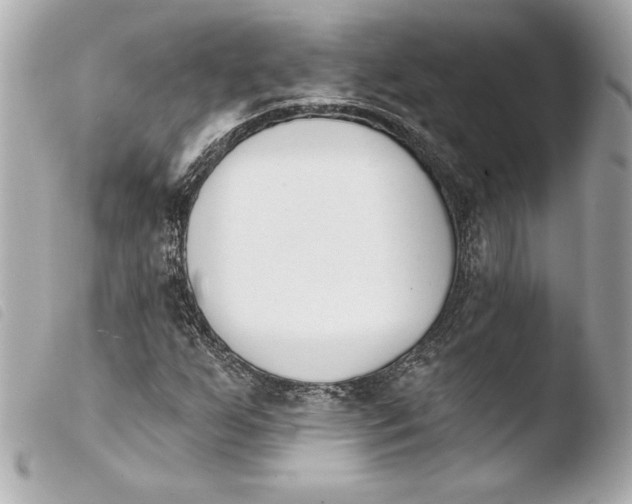 X0000103931255200810031250
