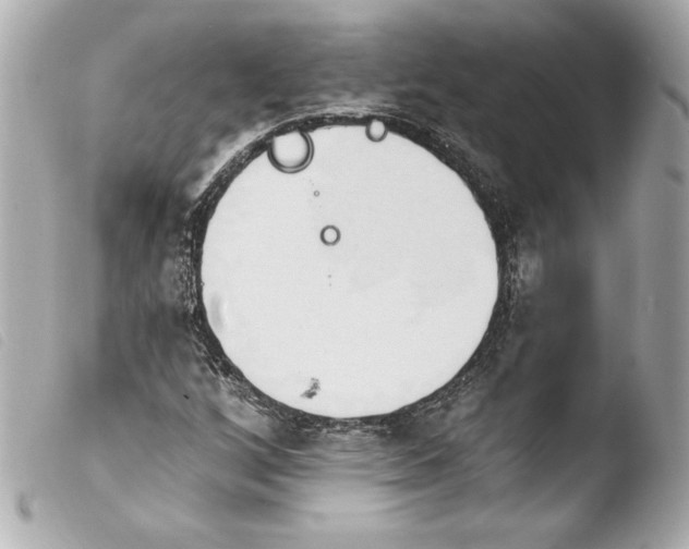 X0000103931256200810031250