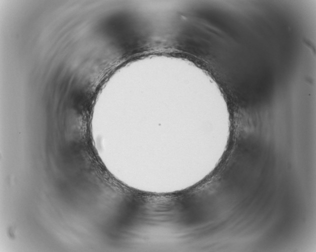 X0000103931257200810031250