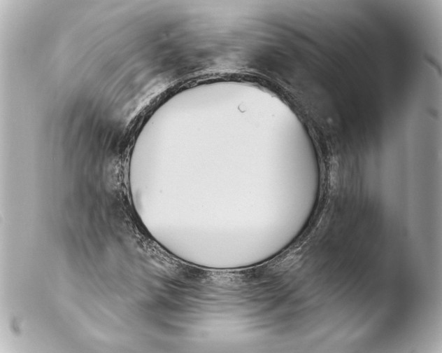 X0000103931258200810031250